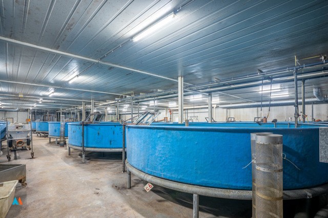 E20263143 - Agrarisch bedrijf met woning en loods 22