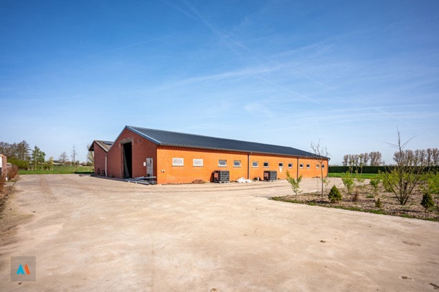H20263149-Agrarische Loods 4