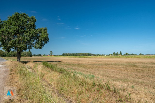 Perceel Landbouwgrond 5