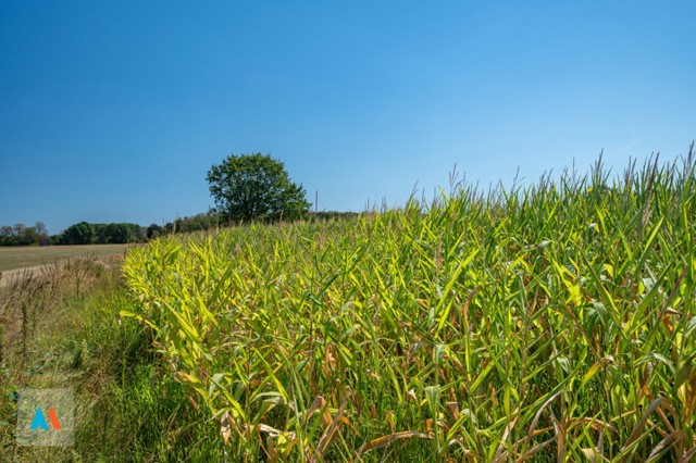Perceel landbouwgrond 5