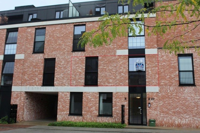 H20263208