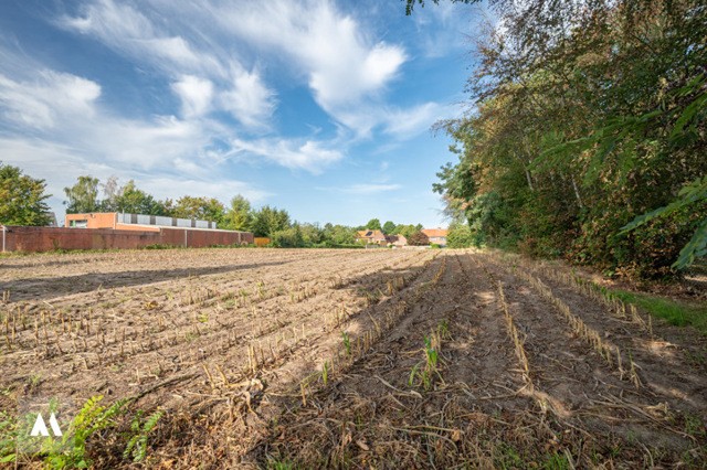 Bouwgrond - Lot 4