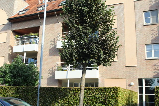 Gelijkvloers appartement